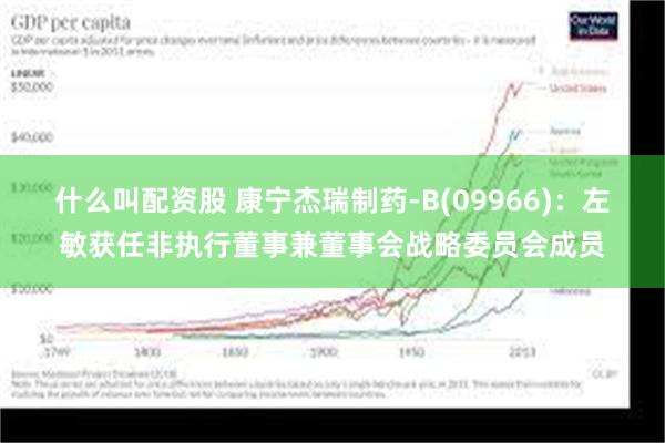 什么叫配资股 康宁杰瑞制药-B(09966)：左敏获任非执行