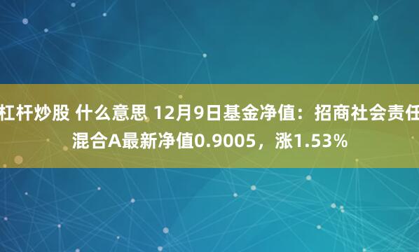 杠杆炒股 什么意思 12月9日基金净值：招商社会责任混合A最新净值0.9005，涨1.53%