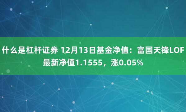 什么是杠杆证券 12月13日基金净值：富国天锋LOF最新净值1.1555，涨0.05%