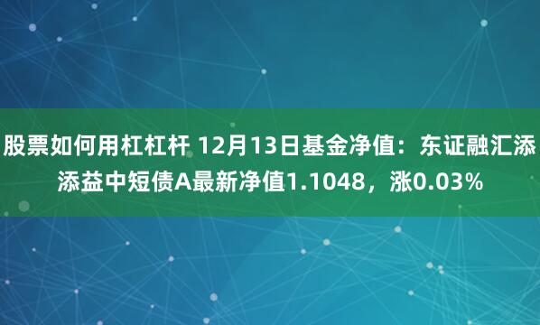 股票如何用杠杠杆 12月13日基金净值：东证融汇添添益中短债A最新净值1.1048，涨0.03%