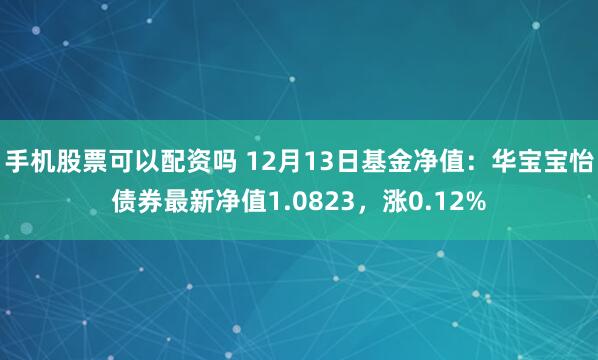 手机股票可以配资吗 12月13日基金净值：华宝宝怡债券最新净值1.0823，涨0.12%