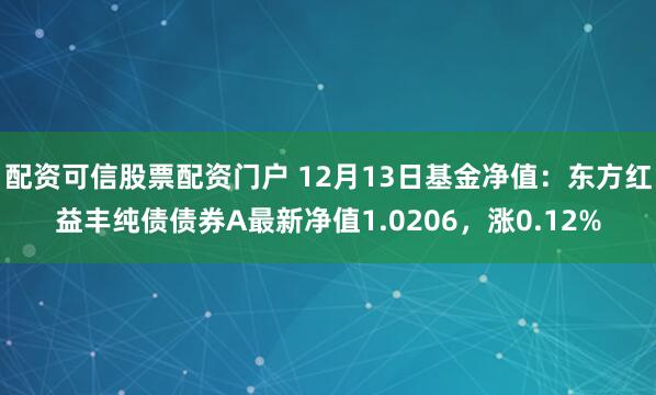 配资可信股票配资门户 12月13日基金净值：东方红益丰纯债债券A最新净值1.0206，涨0.12%