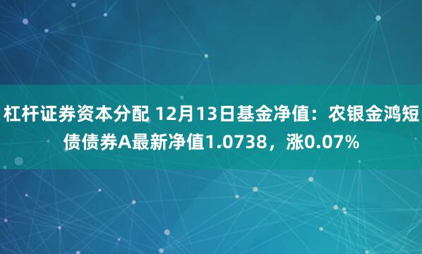 杠杆证券资本分配 12月13日基金净值：农银金鸿短债债券A最新净值1.0738，涨0.07%