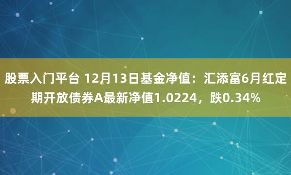 股票入门平台 12月13日基金净值：汇添富6月红定期开放债券A最新净值1.0224，跌0.34%