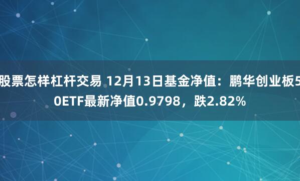 股票怎样杠杆交易 12月13日基金净值：鹏华创业板50ETF最新净值0.9798，跌2.82%