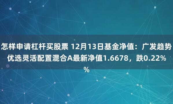 怎样申请杠杆买股票 12月13日基金净值：广发趋势优选灵活配置混合A最新净值1.6678，跌0.22%