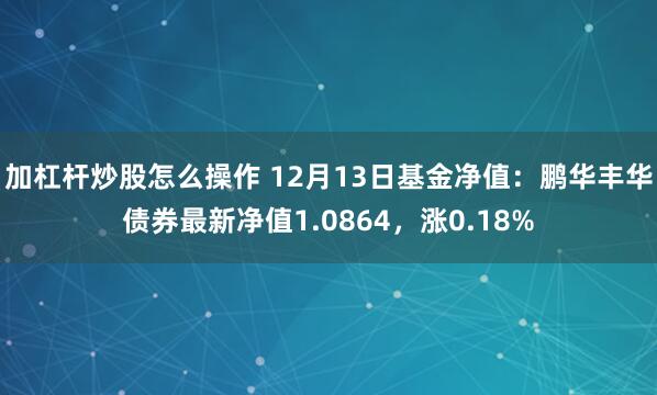 加杠杆炒股怎么操作 12月13日基金净值：鹏华丰华债券最新净值1.0864，涨0.18%