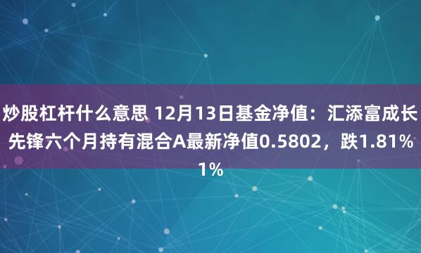 炒股杠杆什么意思 12月13日基金净值：汇添富成长先锋六个月持有混合A最新净值0.5802，跌1.81%