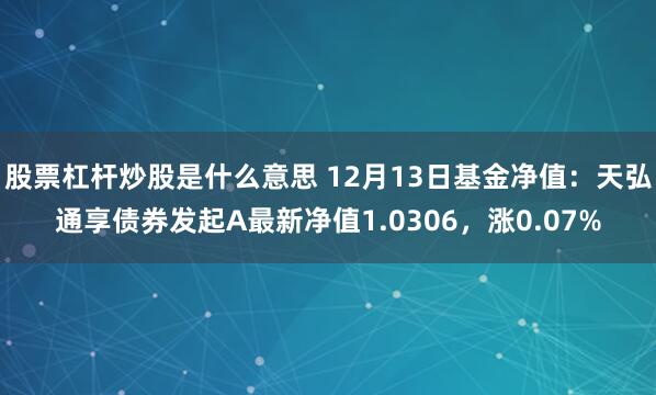 股票杠杆炒股是什么意思 12月13日基金净值：天弘通享债券发起A最新净值1.0306，涨0.07%