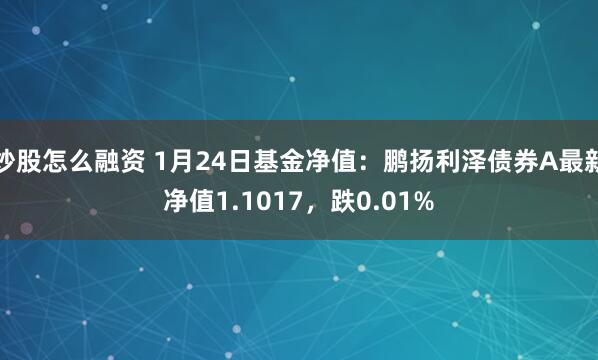 炒股怎么融资 1月24日基金净值：鹏扬利泽债券A最新净值1.1017，跌0.01%