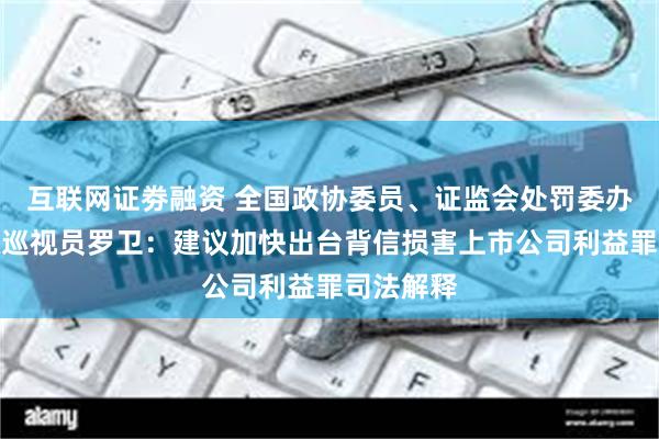 互联网证劵融资 全国政协委员、证监会处罚委办公室一级巡视员罗卫：建议加快出台背信损害上市公司利益罪司法解释