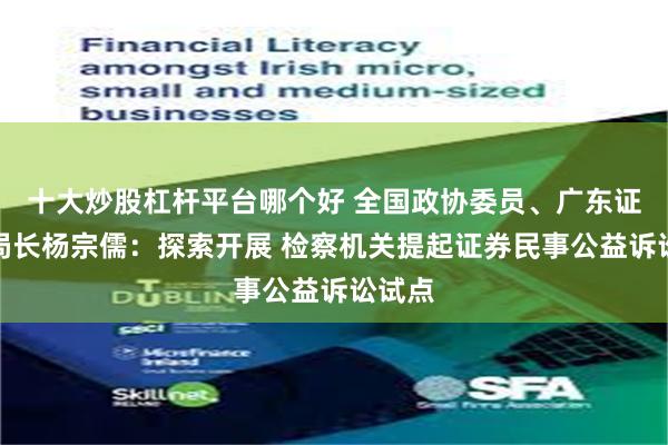 十大炒股杠杆平台哪个好 全国政协委员、广东证监局局长杨宗儒：探索开展 检察机关提起证券民事公益诉讼试点